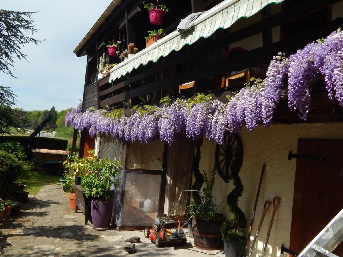 The Petite Chalet Chambre D'Hotes L'Isle-Jourdain  Kültér fotó
