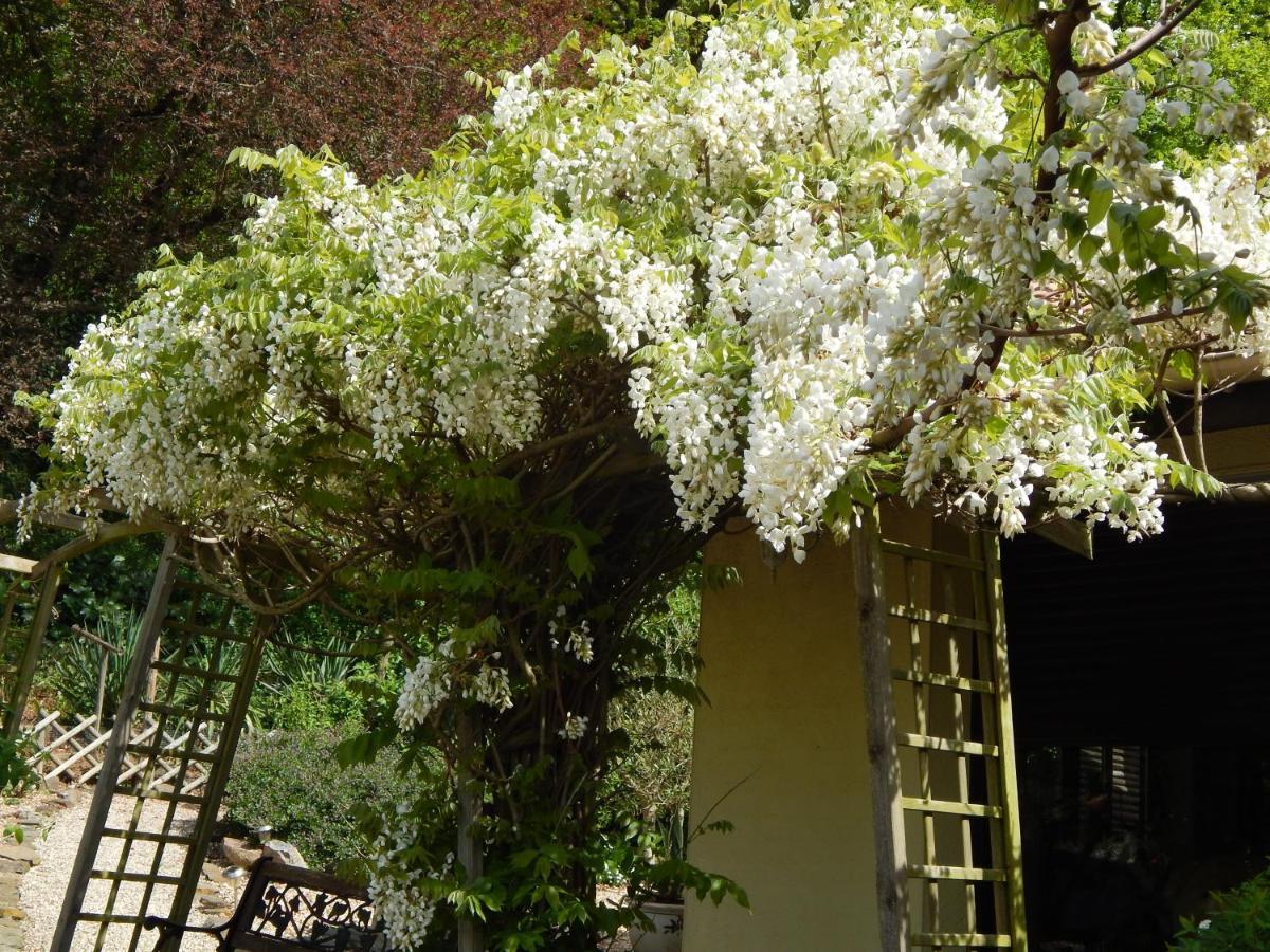 The Petite Chalet Chambre D'Hotes L'Isle-Jourdain  Kültér fotó