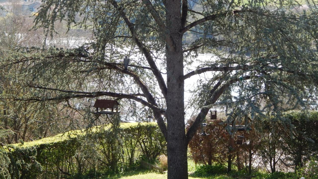The Petite Chalet Chambre D'Hotes L'Isle-Jourdain  Kültér fotó